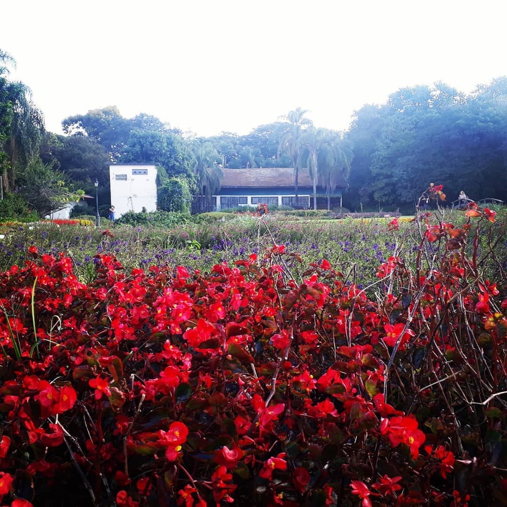 23/04 Jardim Botânico Plantarium e Cultura Leta em Nova Odessa