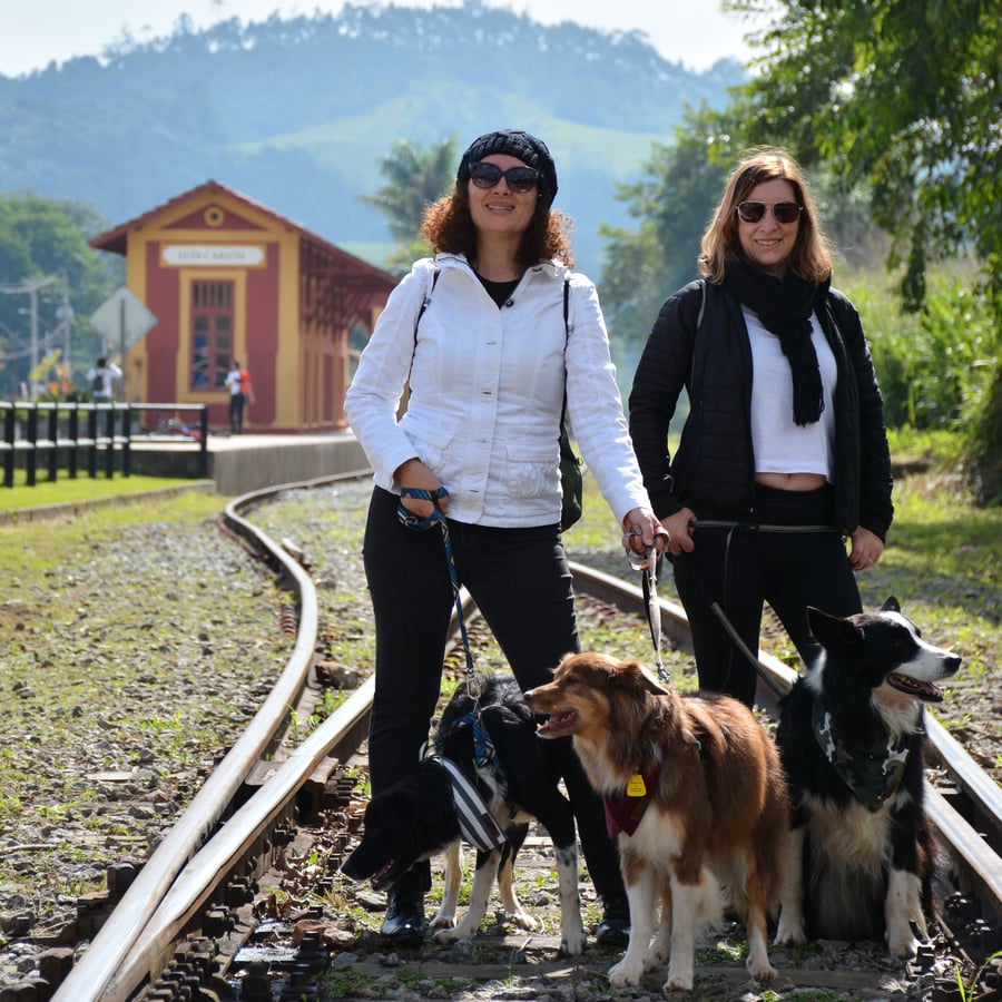 trem de guararema pet friendly