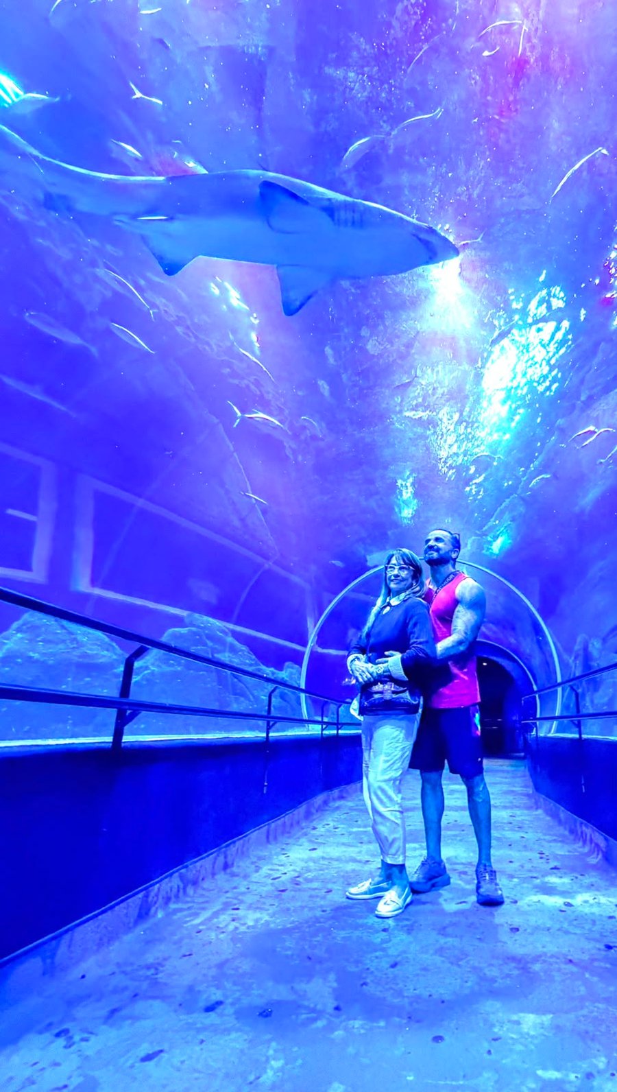 Experiência no AquaRio, uma atração imperdível para quem visita o Rio de Janeiro e deseja incluir um dos melhores passeios turísticos no roteiro.
