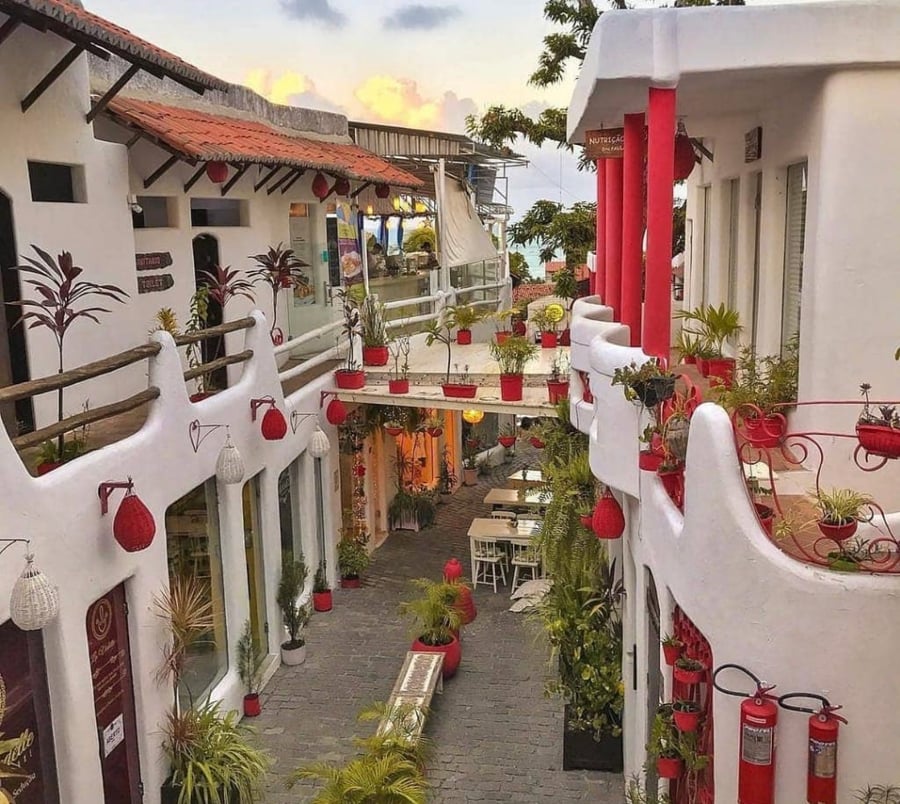 FERIADO DE CARNAVAL EXCURSÃO A NATAL-RN