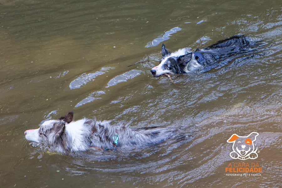 Fazenda Nossa Senhora Conceição pet friendly Jundiaí