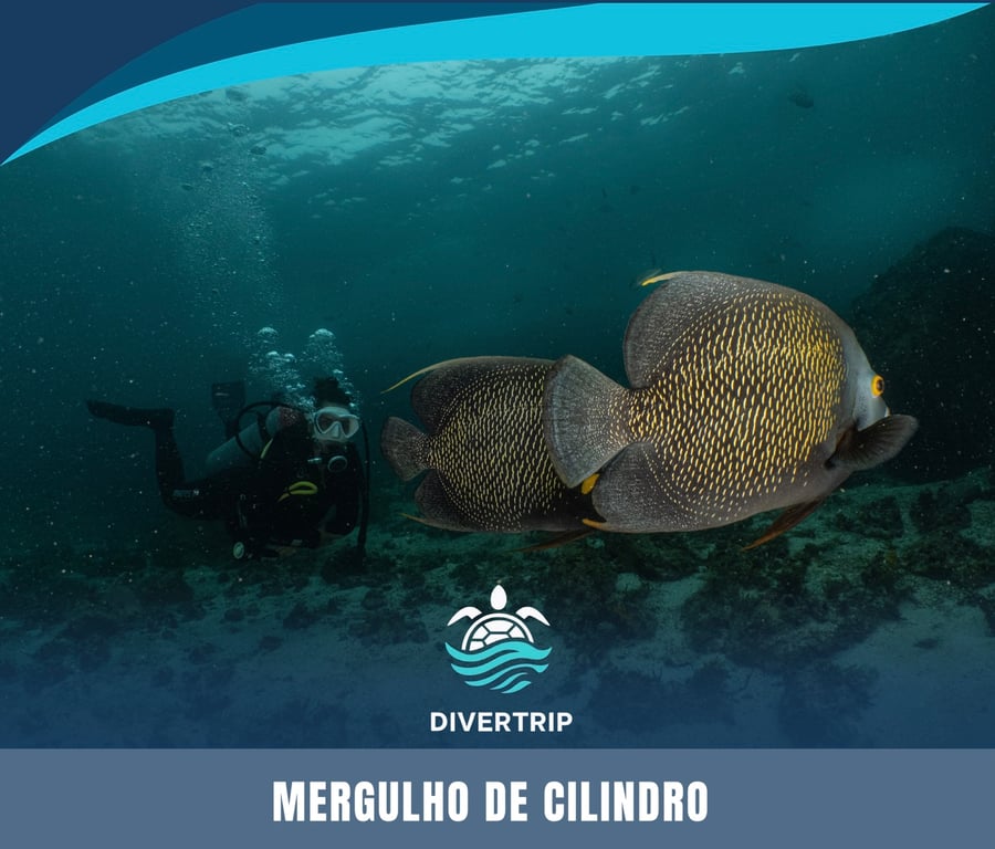 Mergulho de cilindro em Arraial do Cabo