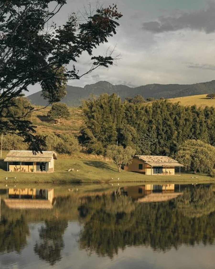 Orchestra do Silêncio Retiro Zen Pet