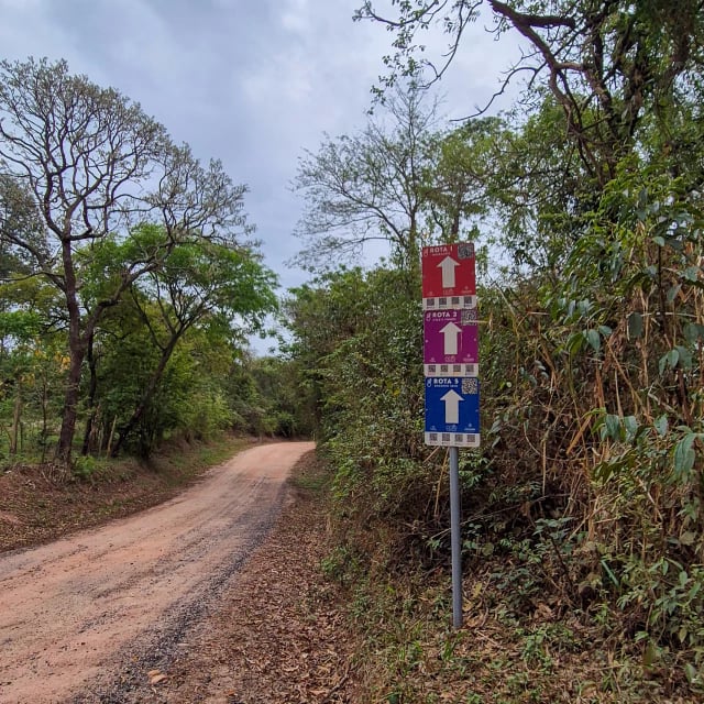 Estrada de terra cercada por árvores, com placas de sinalização de rotas em vermelho, roxo e azul