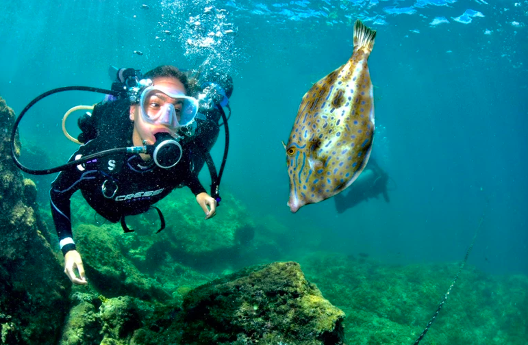 MERGULHO DE BATISMO EM ARRAIAL DO CABO