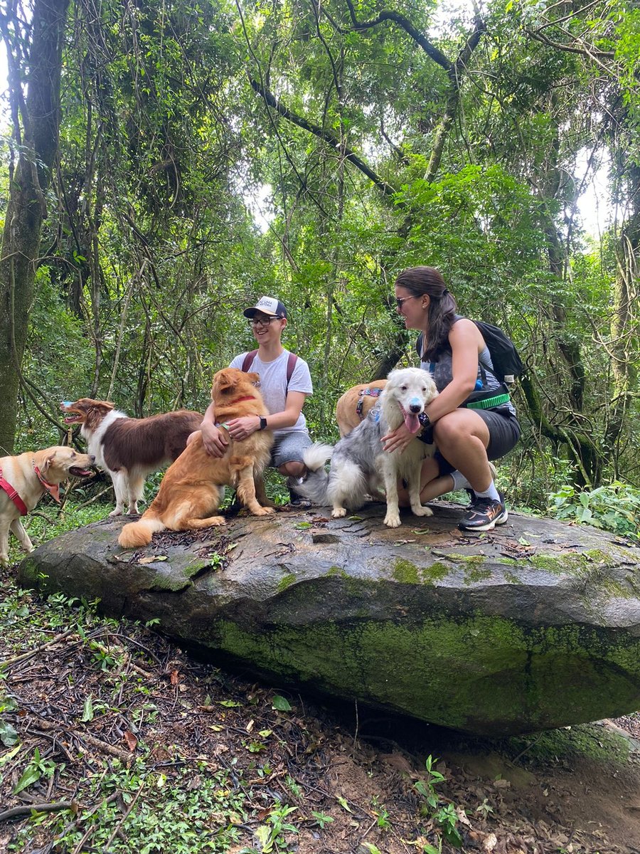 Trilha Pet + Degustação de Vinhos e Almoço na Vinícola Saccomani