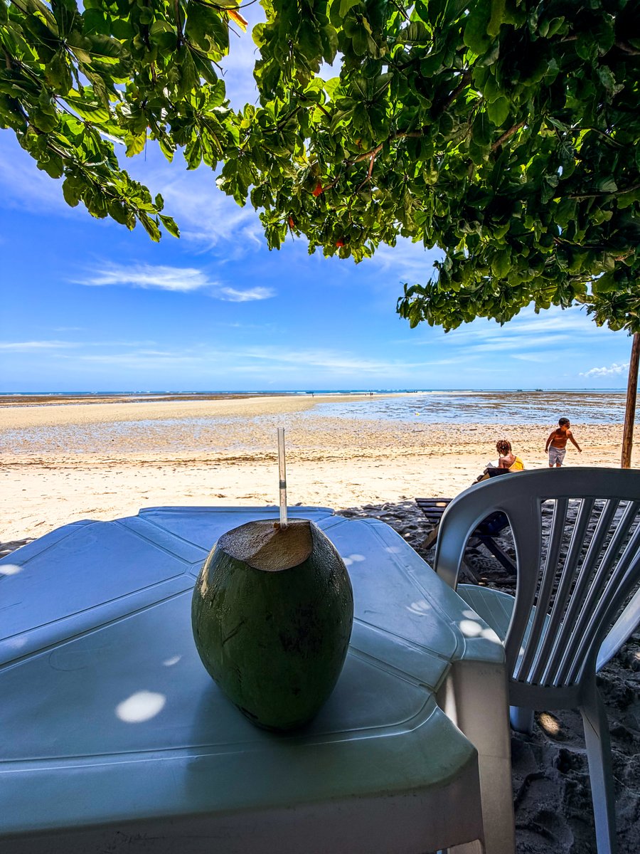 Seleção de Experiências em Boipeba
