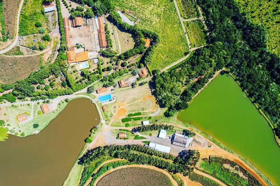 Desafio Feras Pet Friendly