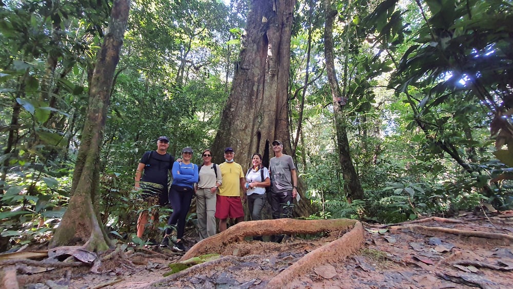 Cachoeiras De Cambury E Rio Das Pedras