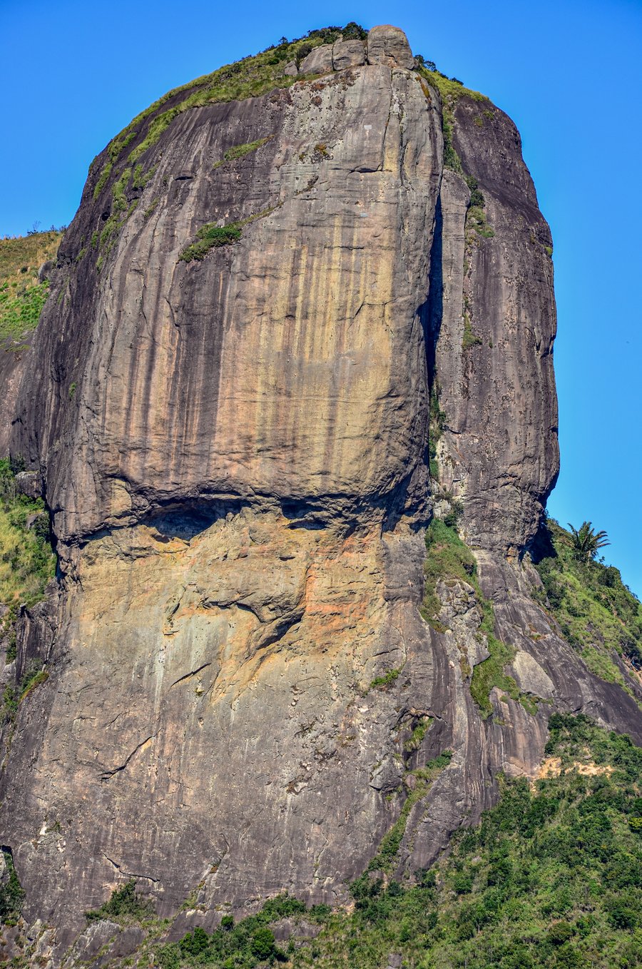 IMAGEM DO ROSTO DO IMPERADOR 