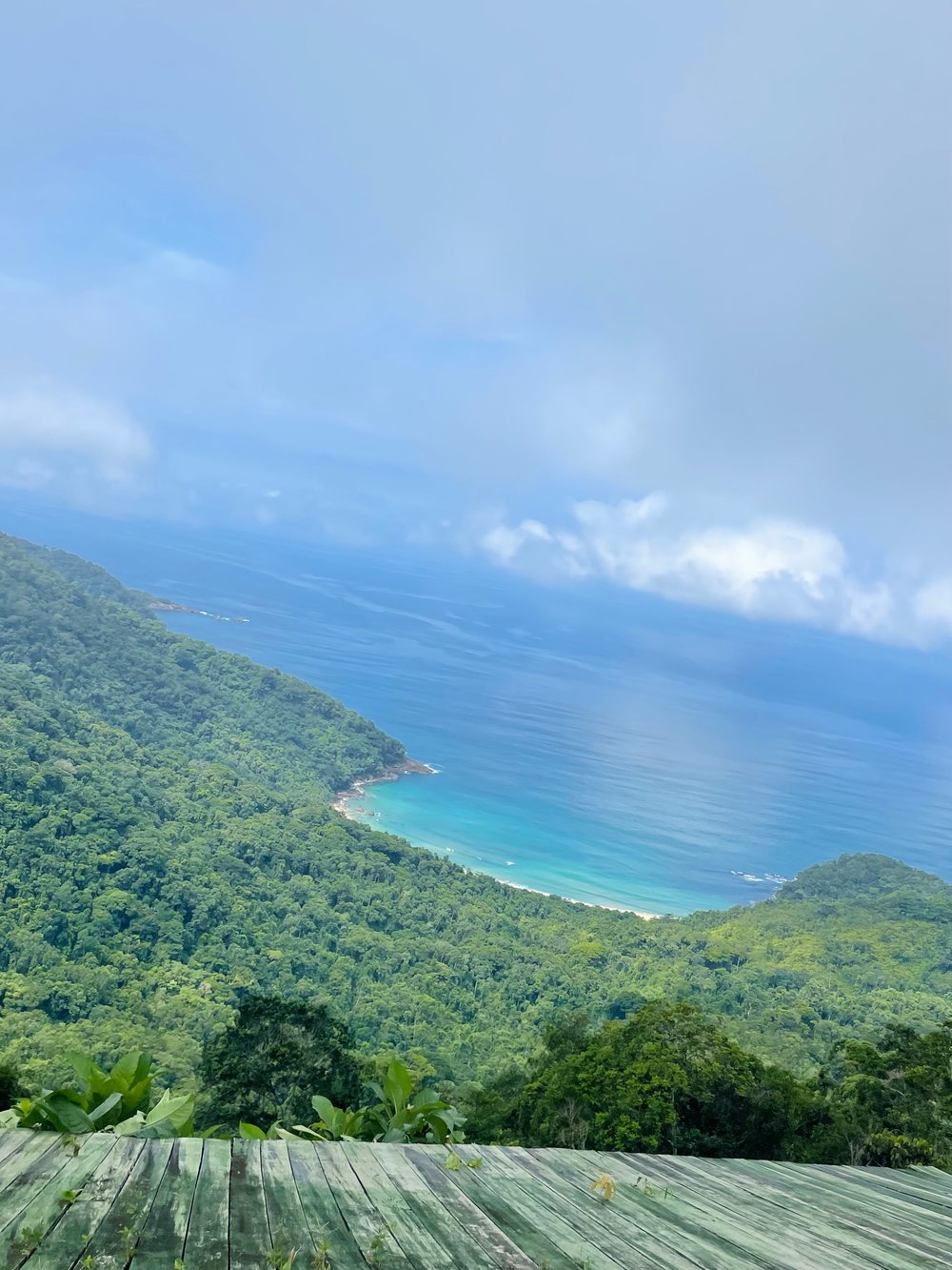 Mirante da Praia Brava
