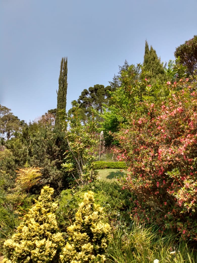 13/08 Santo Antonio do Pinhal e Jardins Temáticos EccoParque