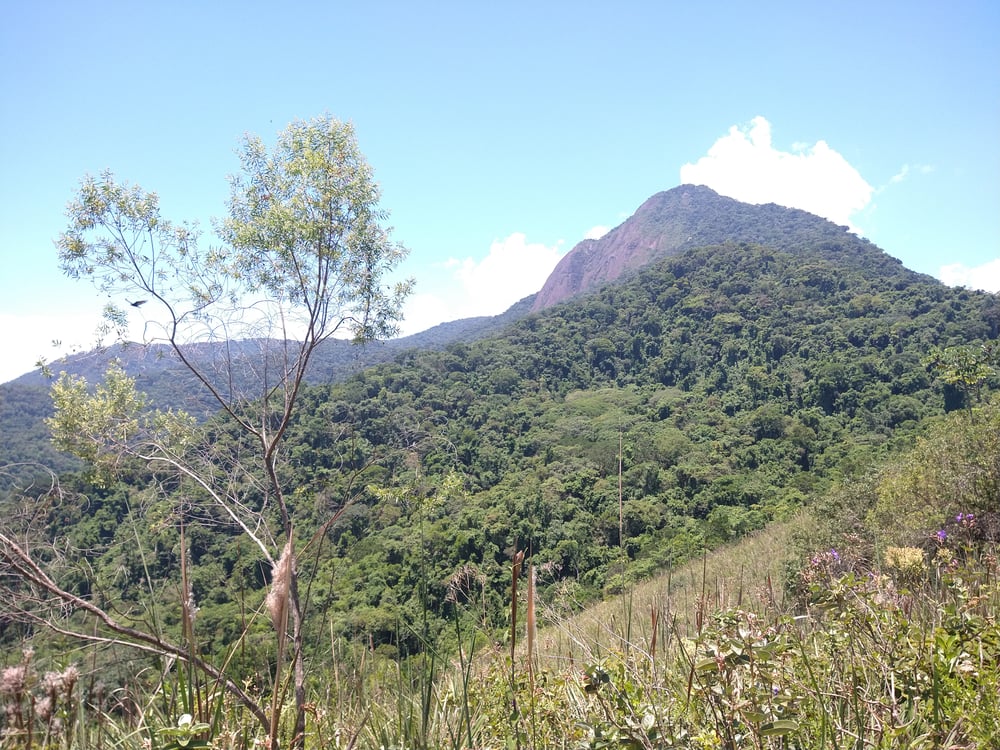 Pico do Baepi visto do mirante