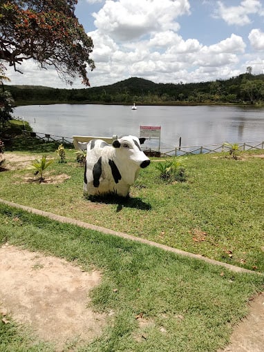 BATE E VOLTA PARQUE TIMBÓ