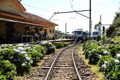 13/08 Santo Antonio do Pinhal e Jardins Temáticos EccoParque