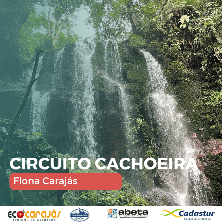 O Circuito Cachoeiras é um roteiro que exige mais esforço físico e é ideal para pessoas que buscam desafios na floresta. O pacote inclui a Trilha Será que Volta, Poço do Disco Voador (Poço do Azul) e Cachoeira de Águas Claras.