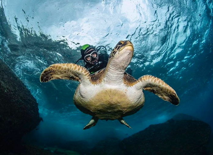 MERGULHO NA ILHA DE ÂNCORA