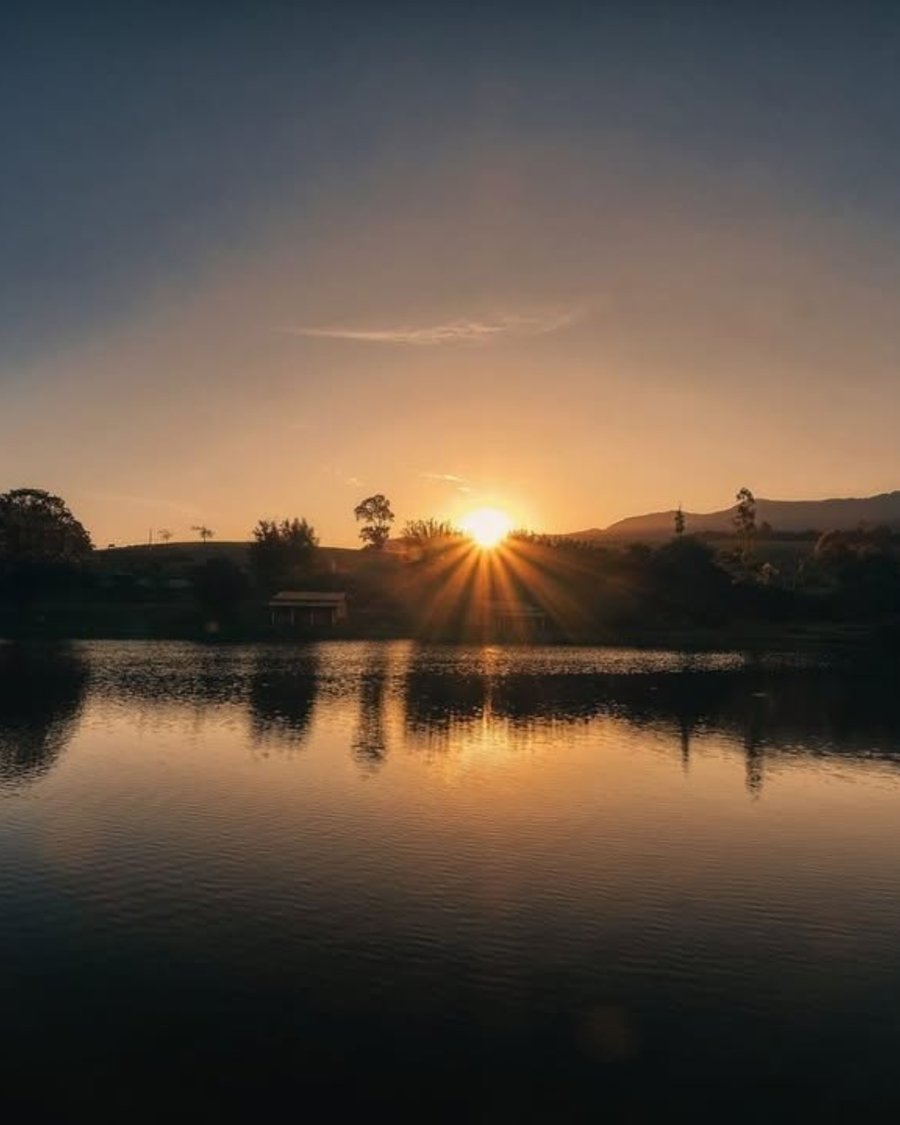 Orchestra do Silêncio Retiro Zen Pet