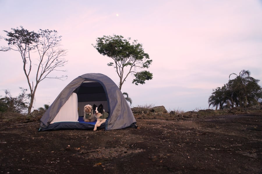 Camping de montanha pet friendly - Socorro
