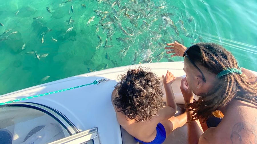 Ilha da Pescaria - Parada do Roteiro Tradicional