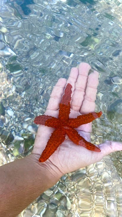 Nascer do sol na Curva da Jurema