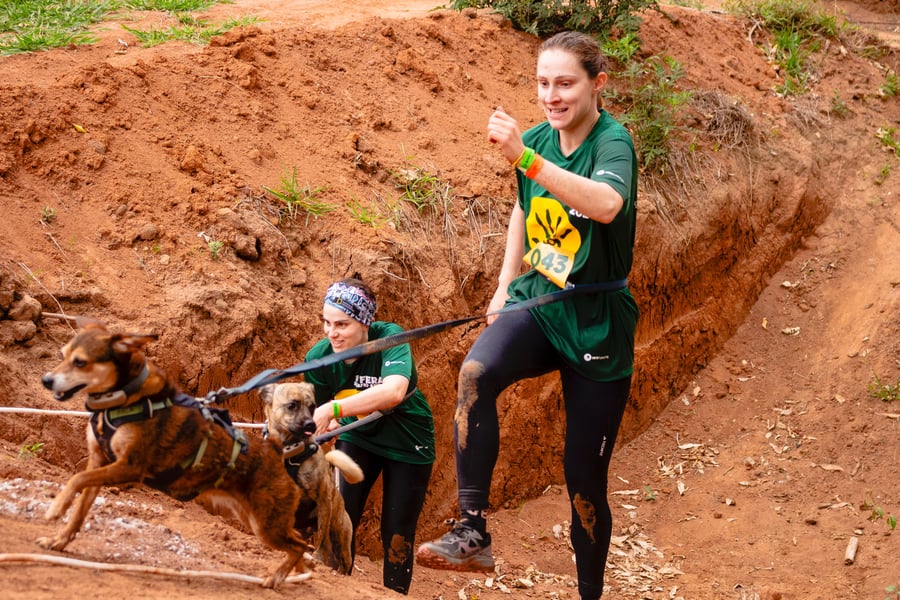 Desafio Feras Pet Friendly