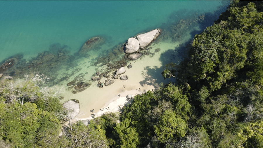 Ilha da Cotia Paraty