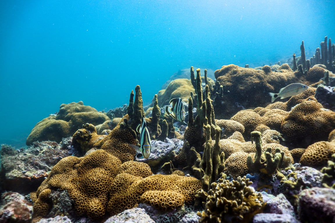 Mergulhador nas águas de Arraial do Cabo