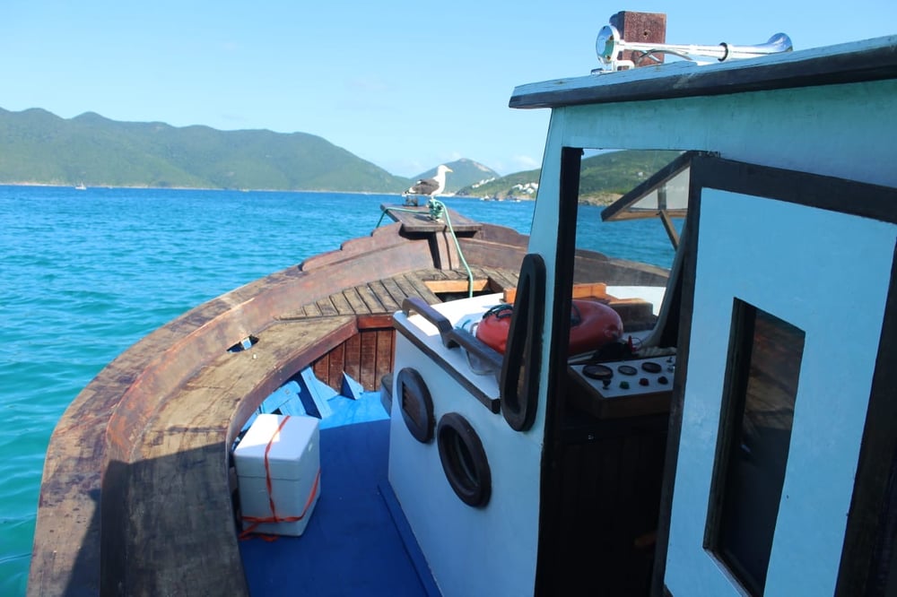 BARCO COOLER LIBERADO ARRAIAL DO CABO