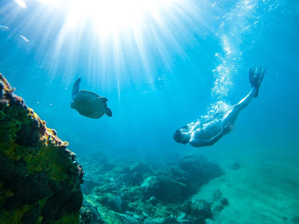 Mergulho de Snorkel na Praia em Arraial do Cabo