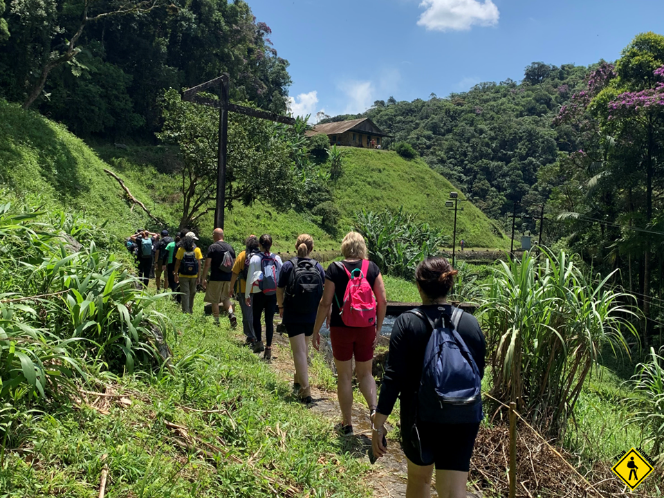 Trilha Do Mirante -  Parque Das Neblinas 