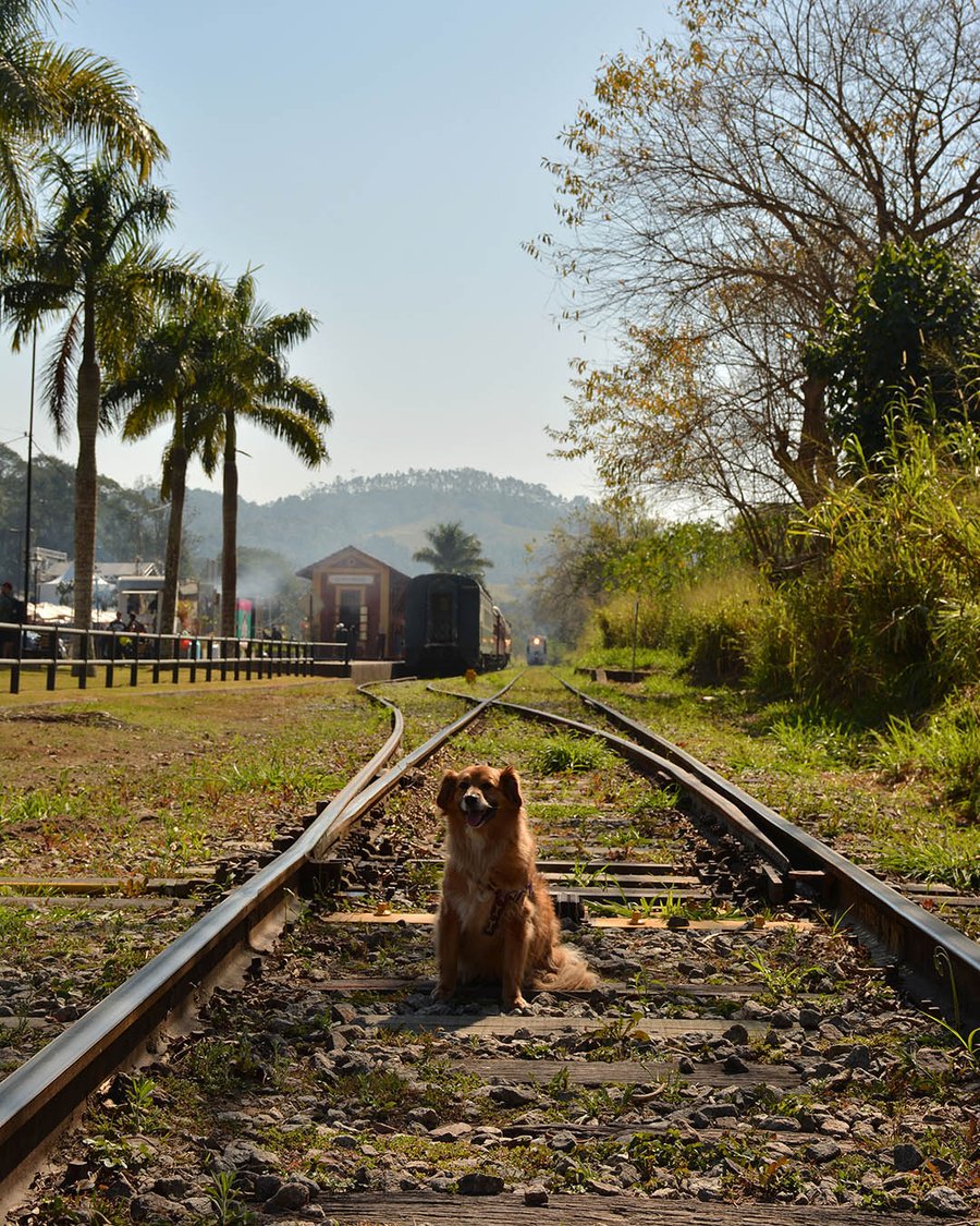 trem de guararema pet friendly