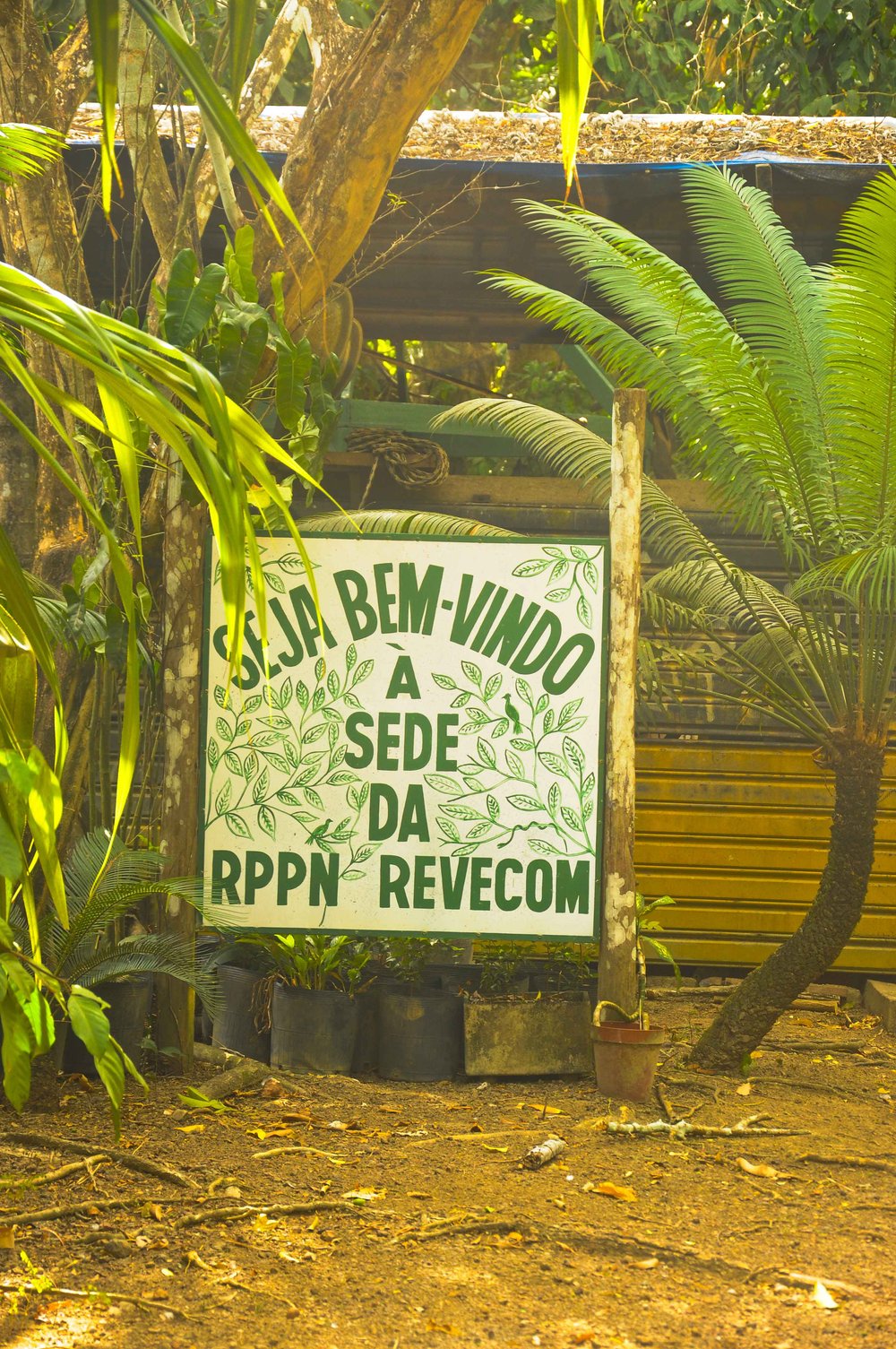 Entrada da Reserva Particular do Patrimônio Natural-RPPN Revecom. (Fotos: Nyl Barbosa)