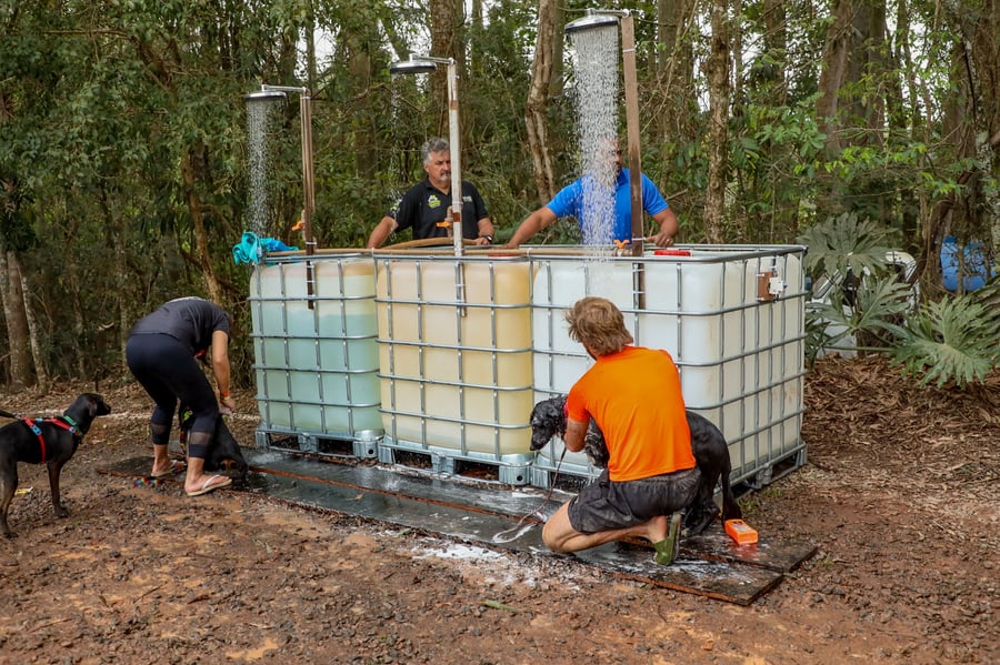 Desafio Feras Pet Friendly