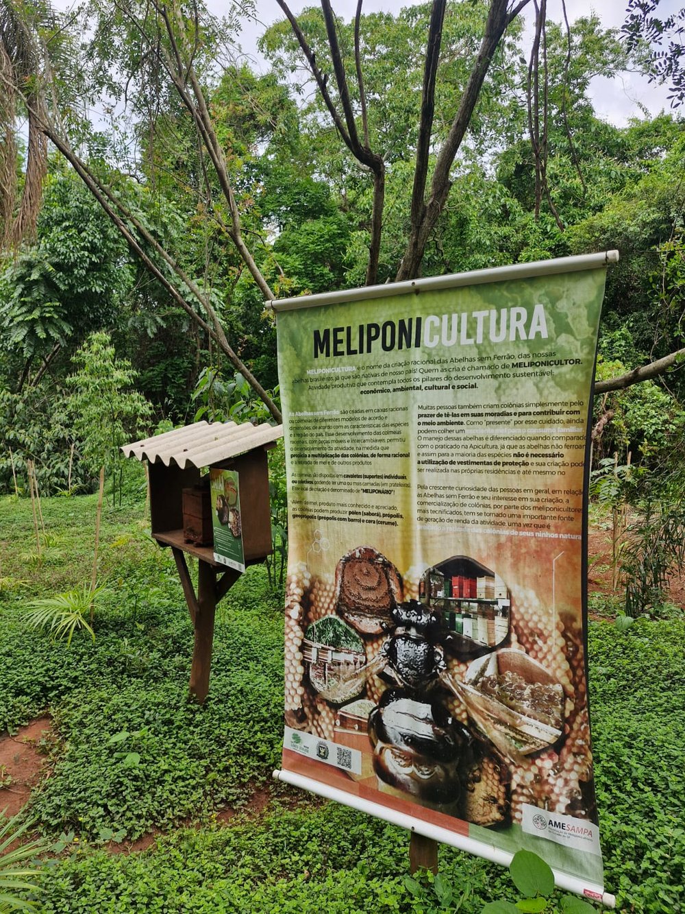Mata Santa Genebra - meliponi