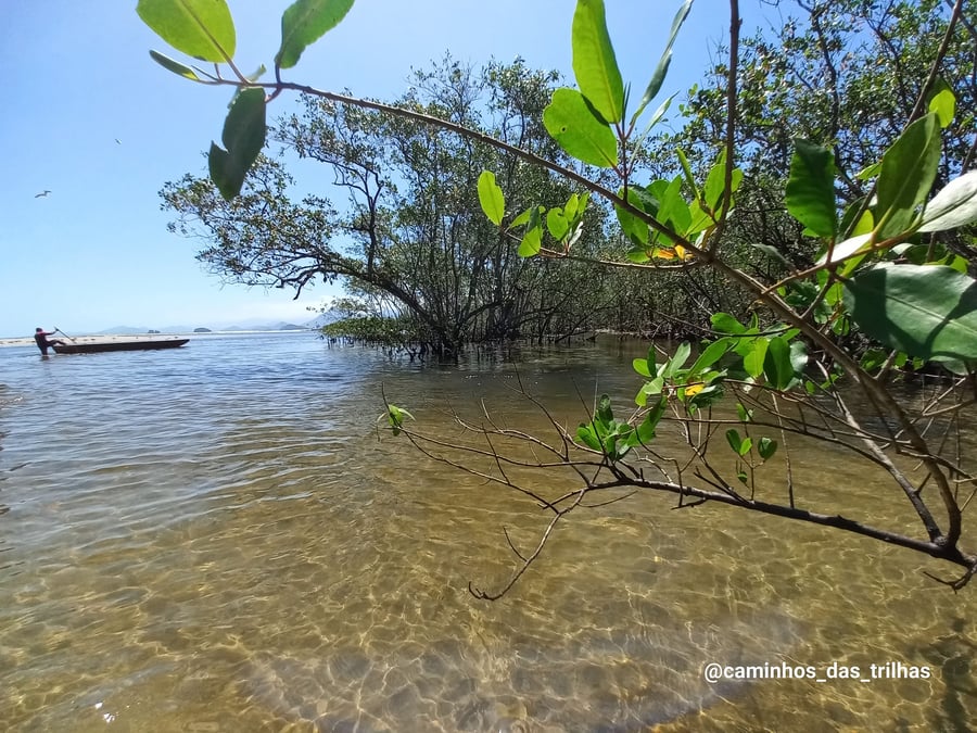 Praia da Fazenda
