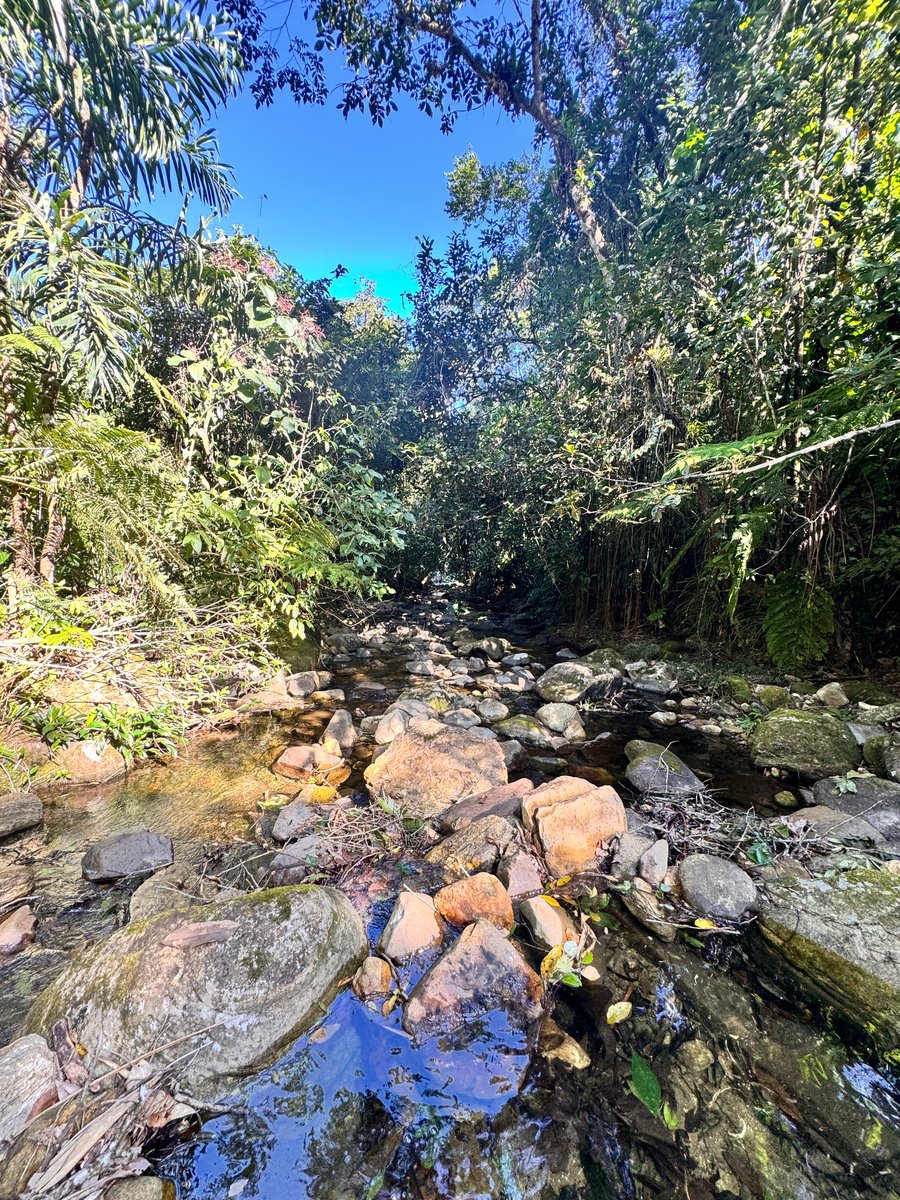Cachoeira 