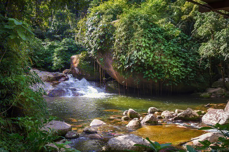 pedra de tarzan
