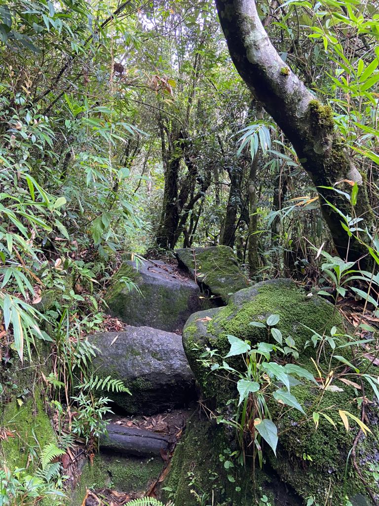 Entrada - Pedra Redonda