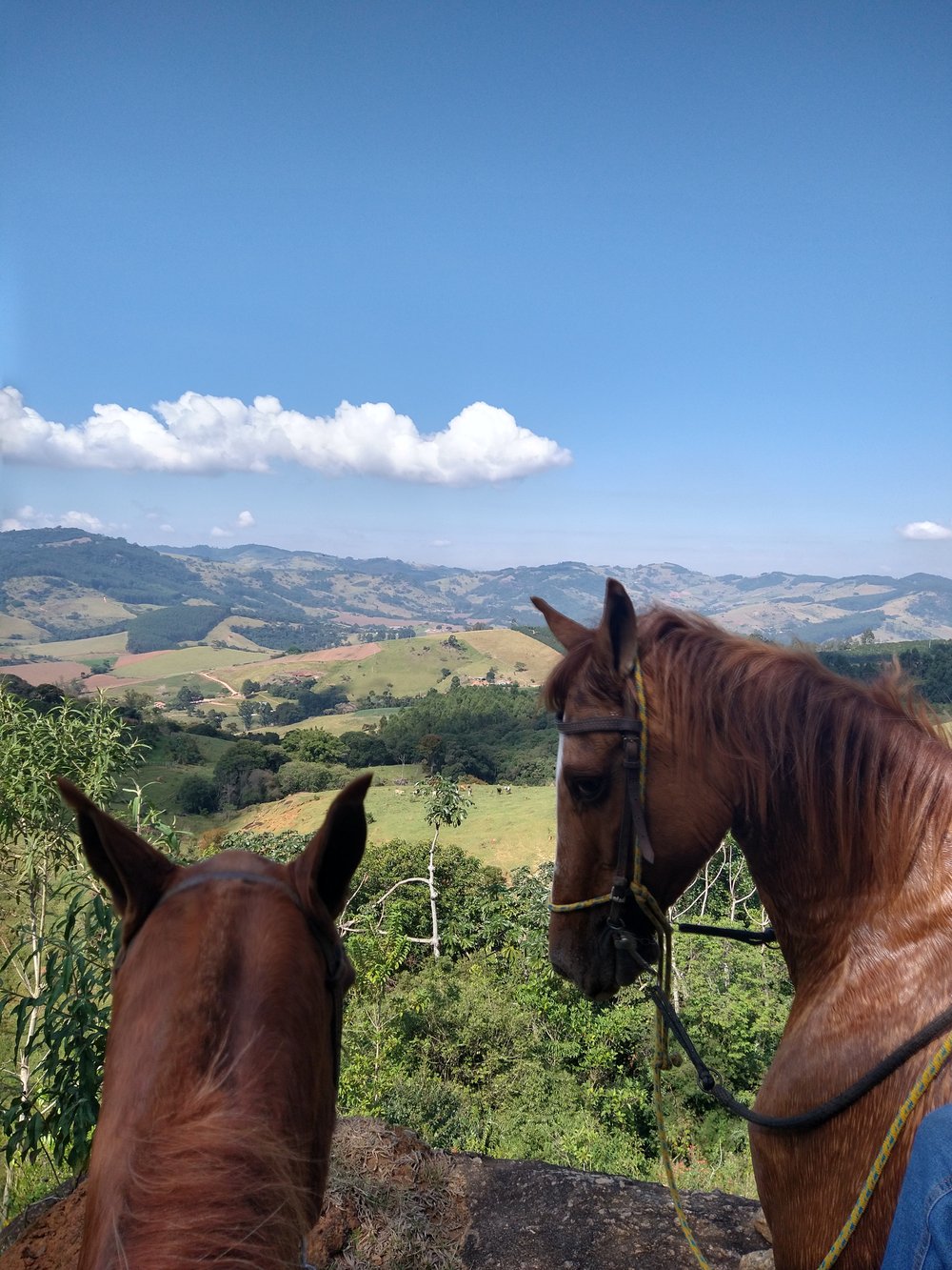 Passeio a Cavalo - Roteiro 04 - Trilha das fazendas