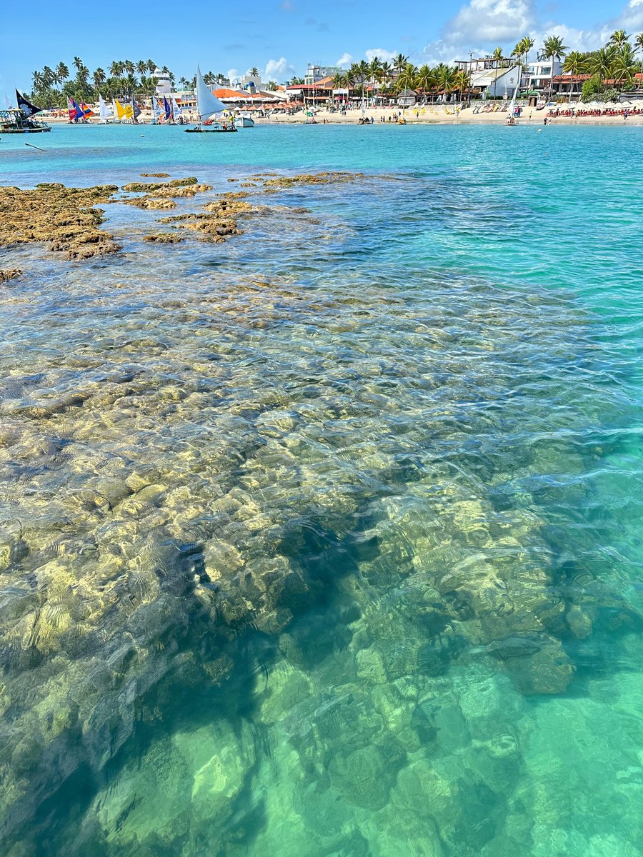 PISCINA NATURAL DE PORTO DE GALINHAS