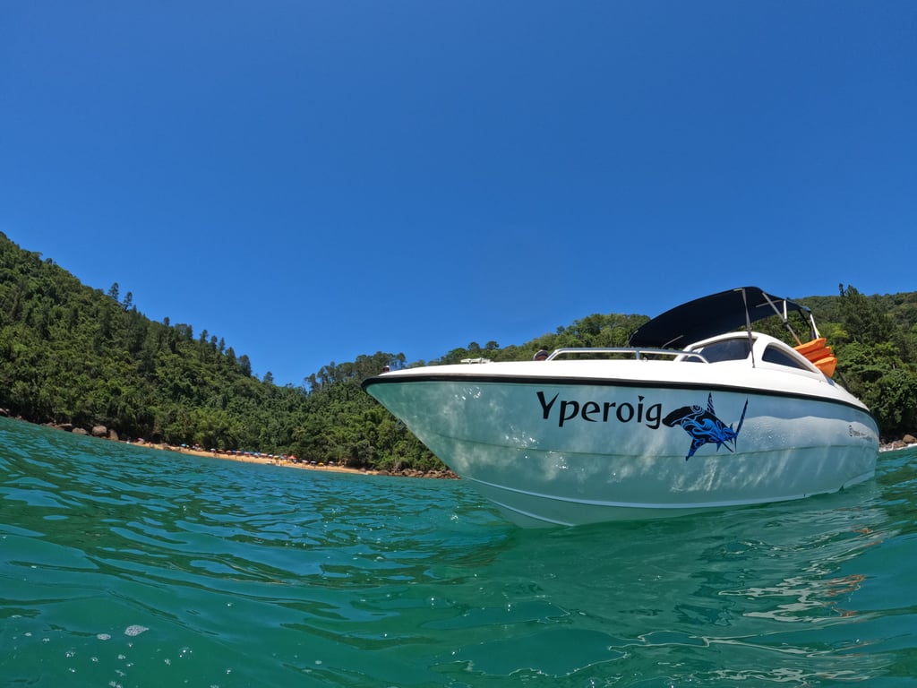 Vida marinha diversa