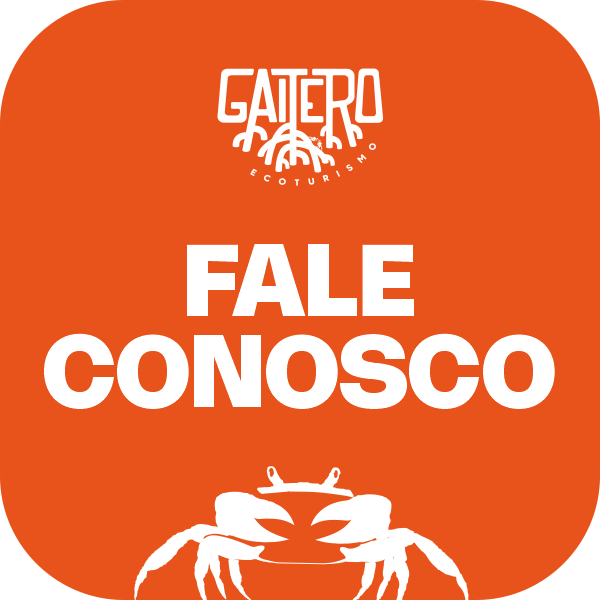 Fale conosco
