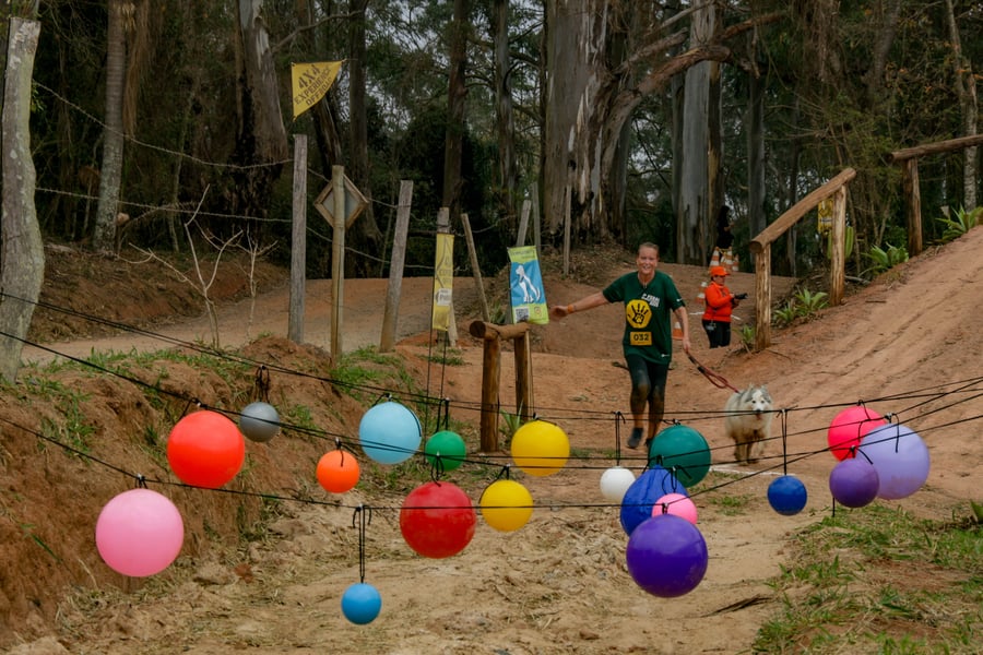 Desafio Feras Pet Friendly