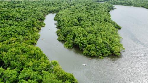 Canoagem: o lazer perfeito para conectar-se com a natureza e renovar corpo e mente