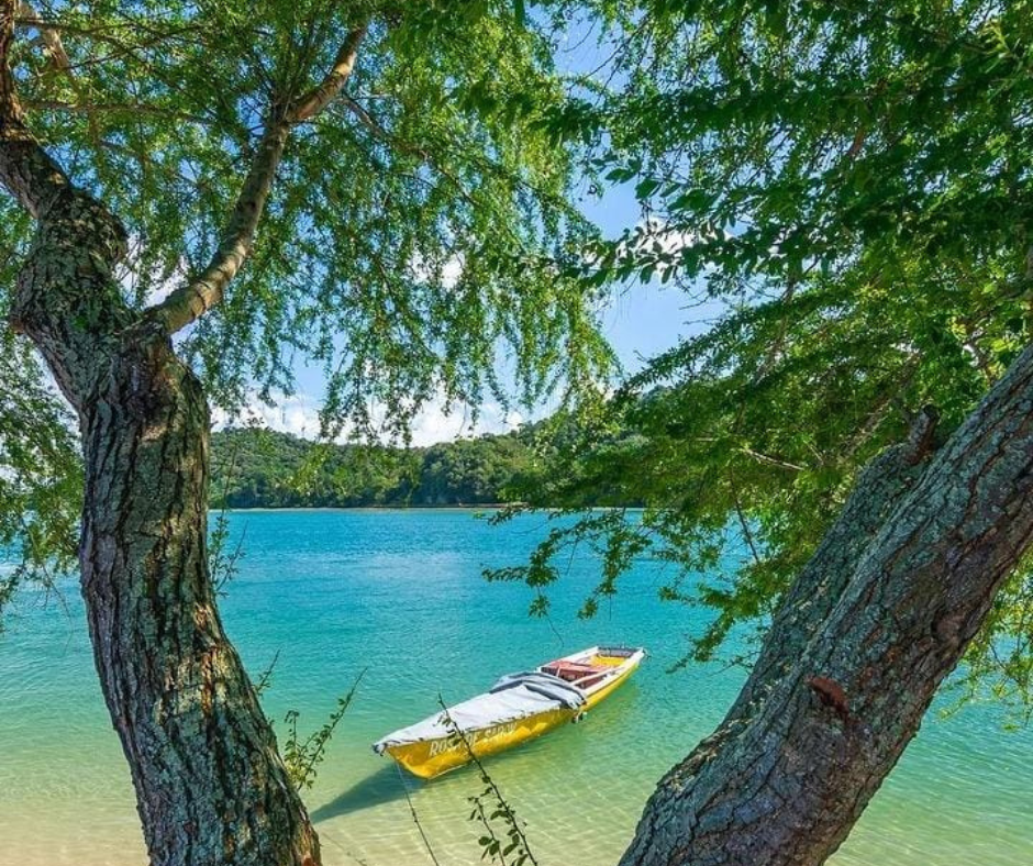 Ilha de Maria Guarda 