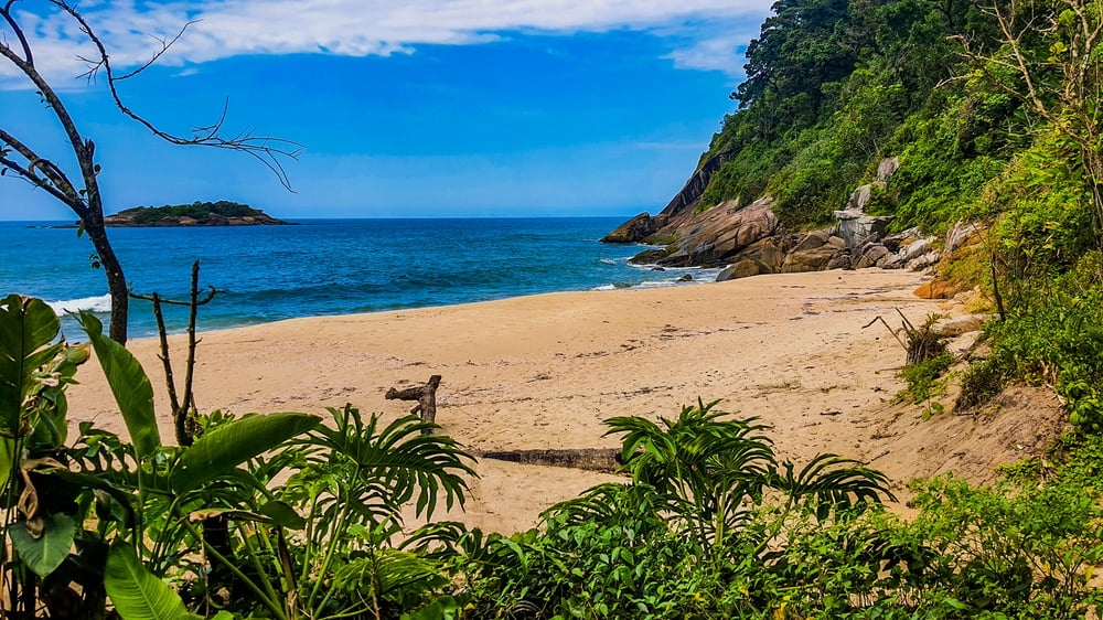 Trilha Praia Brava De Boracéia