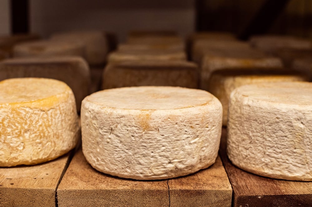 Turismo Rural - Visita guiada a queijaria Inconfidentes em Cachoeira do Campo