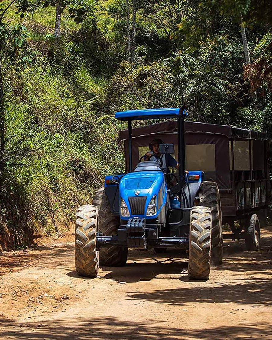 Day Use Hotel Fazenda Parque dos Sonhos