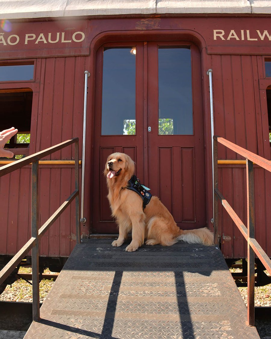 trem de guararema pet friendly
